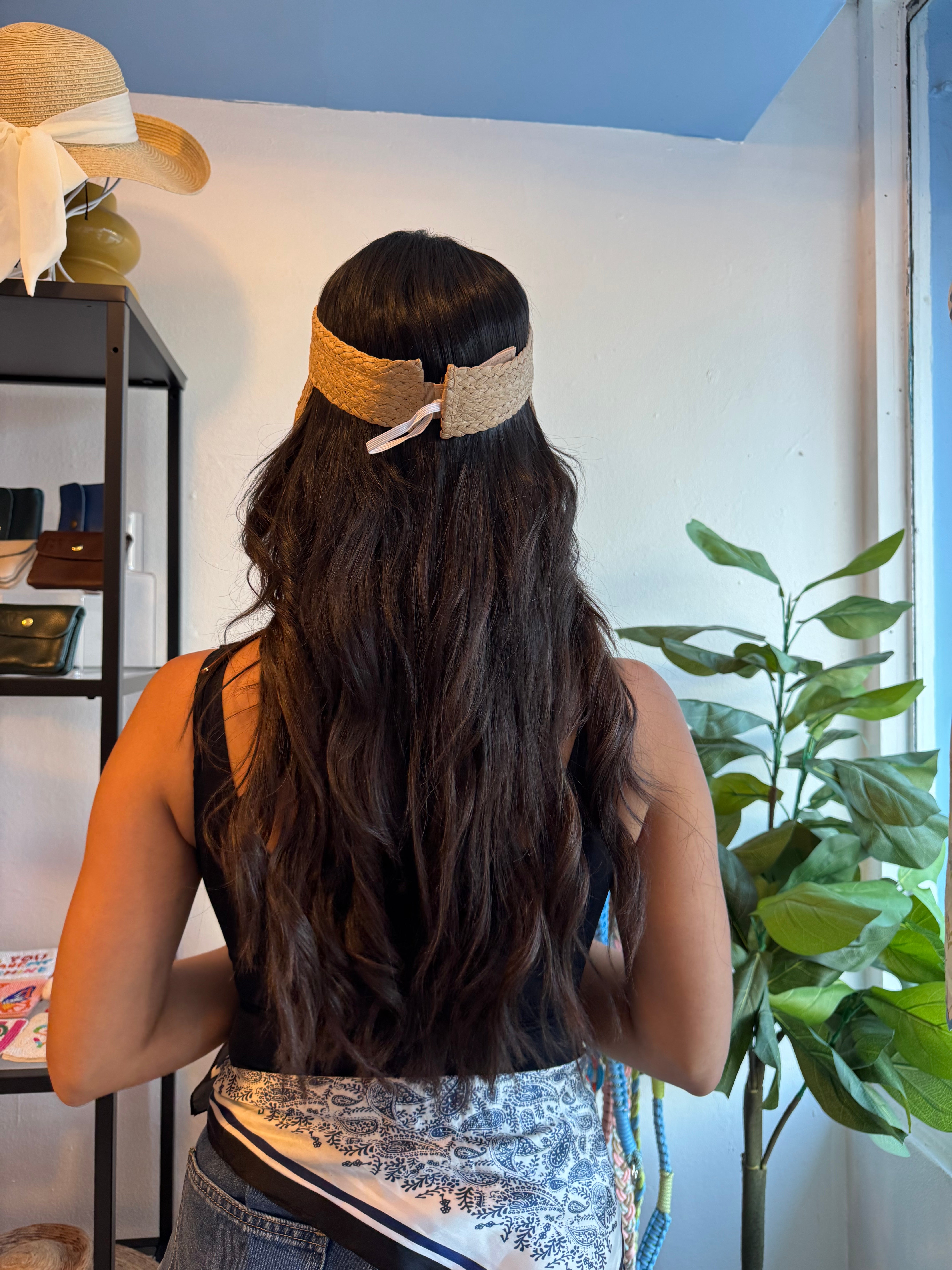 VISERA