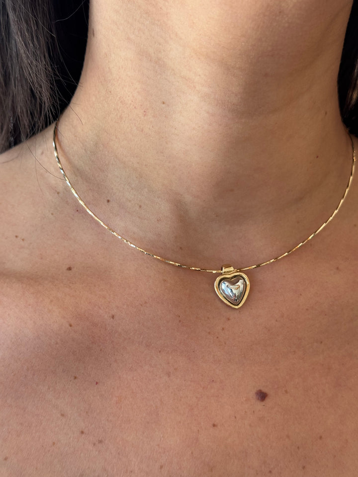 COLLARES (VARIEDAD)