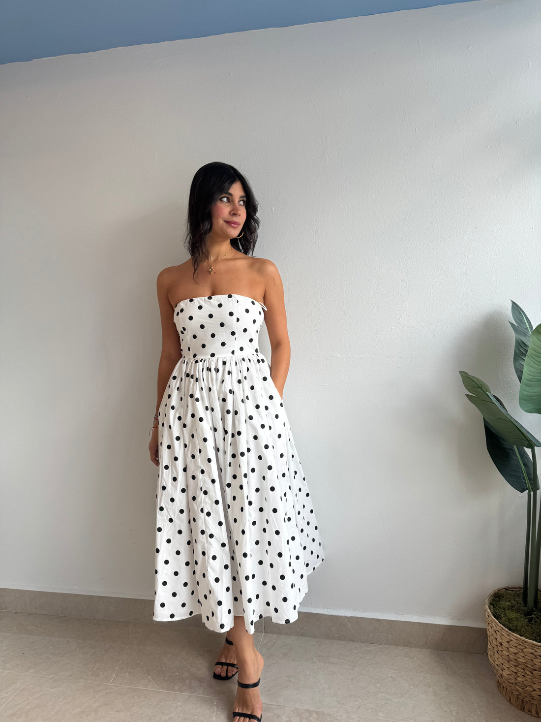 CAROLINA DRESS
